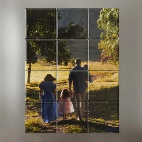 12-Magnet Puzzle